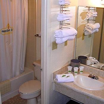 Motel 6 Columbia - University Of South Carolina Chambre photo